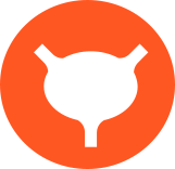 icon depicting the bladder