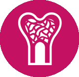 icon depicting bone marrow