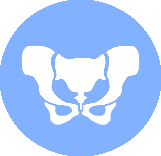 icon depicting a pelvis